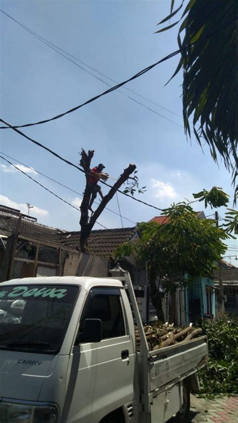 Jasa Tebang Pohon Bekasi Indo Services