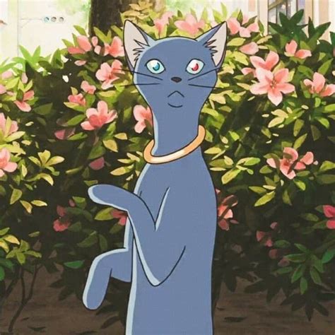 The Cat Returns Prince Lune The Cat Returns Anime Cat Ghibli