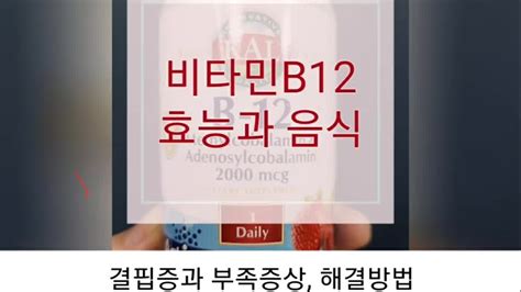 비타민b12 효능과 음식비타민b12 엽산 결핍증에 따른 부족증상 및 해결방법 알아보기 네이버 Tv