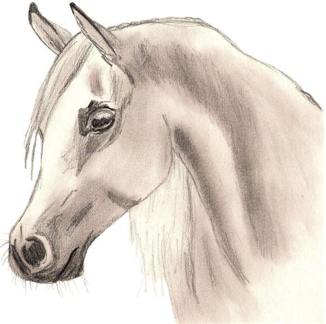 Easy Horse Drawing at GetDrawings | Free download