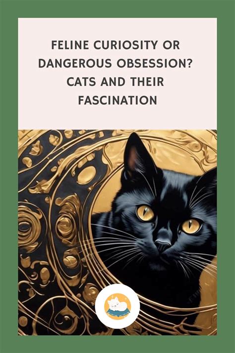 Feline obsession – Artofit