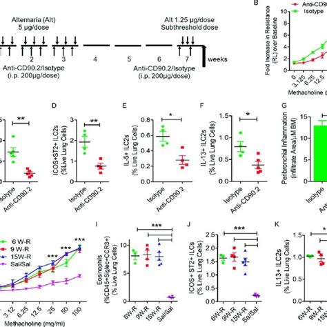 The Role Of NK Cells And ILCs In Memory Driven Asthma A C Role Of NK