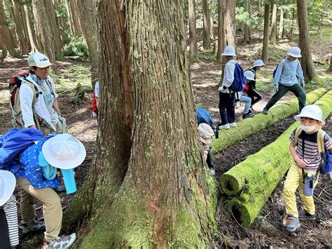 芦生の森トレッキング🏔美山合宿2日目 香里ヌヴェール学院小学校