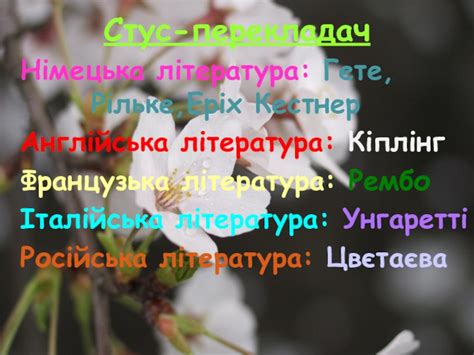 Василь Стус