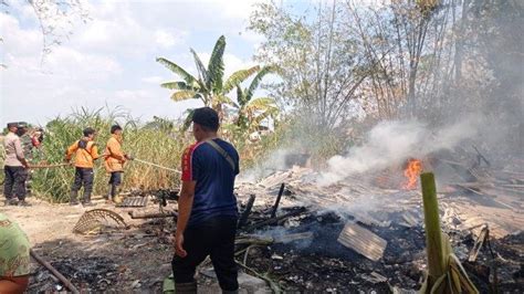 Gudang Rongsokan Di Mranggen Demak Hangus Terbakar Diduga Tersambar