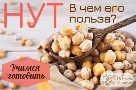 Нут: полезные свойства и рецепты