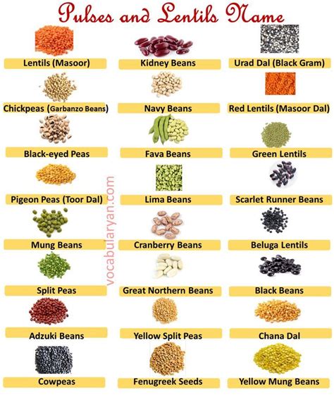 40 Pulses And Lentils Name In English With Pictures