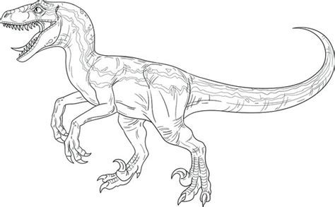 Velociraptor Outline Images Browse 1961 Stock Photos Vectors And