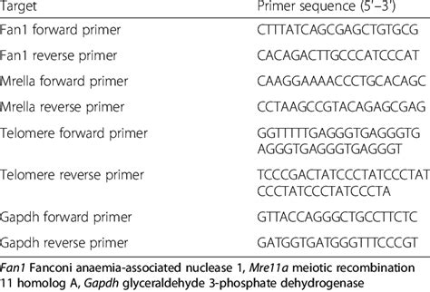 Primer Sequences Used In Quantitative Reverse Transcription Polymerase