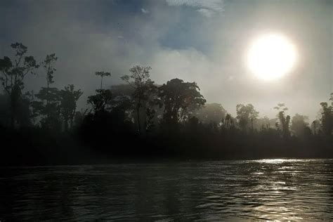 Yasuni Forest | Wondermondo