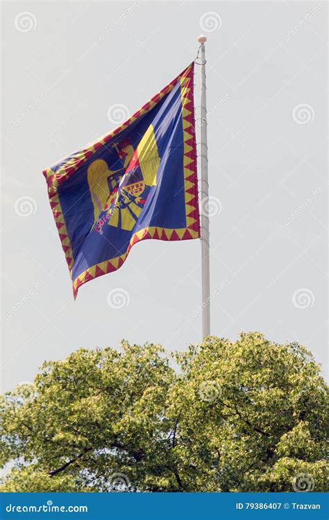 Romanian monarchy flag stock image. Image of arms, model - 79386407