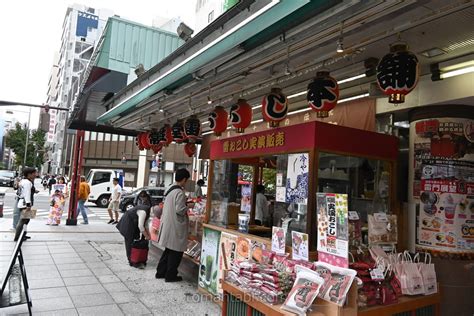 雷門の見どころ完全ガイド！歴史、由来、提灯や風神雷神像の魅力解説