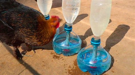 Como hacer BEBEDERO AUTOMATICO para gallinas con botellas de plástico