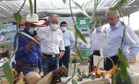 Amlo Y Jm Carreras Supervisan Programa Sembrando Vida Noticias De San