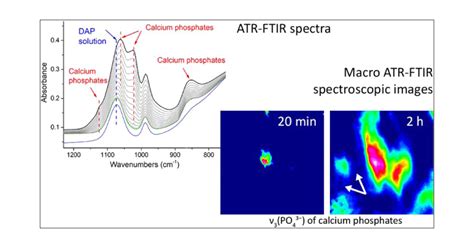 Time Resolved ATRFTIR Spectroscopy And Macro ATRFTIR Spectroscopic