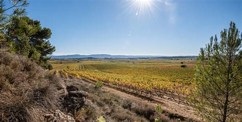 Le Label Vignobles Découvertes pour les Pros Côte du Midi