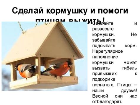 Кормушки для птиц чертеж красивые фото и картинки — Каталог Фото