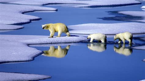 Hitzewelle Am Nordpol Eis Schmilzt Schnell Wie Nie N Tv De