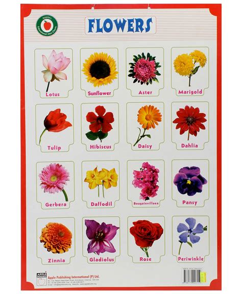 The gallery for --> Different Types Of Flowers With Names Chart