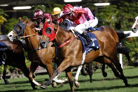 潘頓兩勝頭馬首奪浪琴表國際騎師錦標賽冠軍 賽馬新聞 香港賽馬會