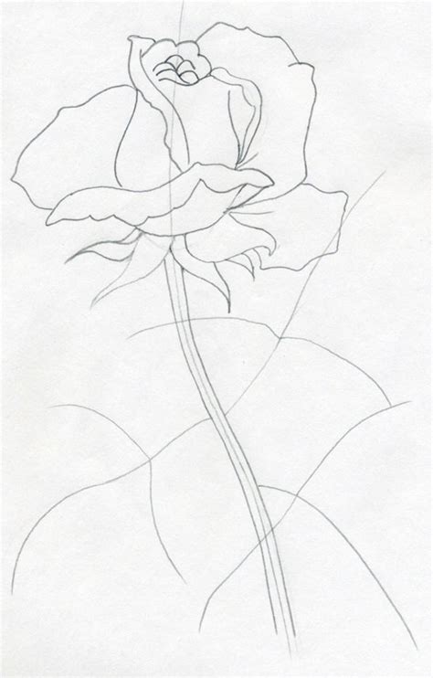 Free Rose Drawing Outline, Download Free Rose Drawing Outline png ...