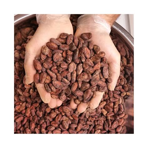 Sun Dried Raw Cocoa Beans From Cote D Ivoire Cocoa Beans Suppliers