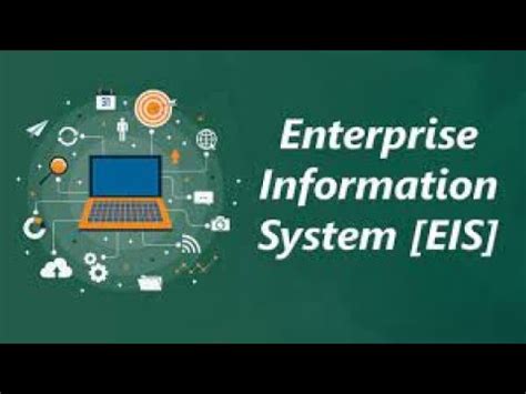 Eis Case Study Based Mcq S Part Ii Icai Eis Case Study Lecture Ii