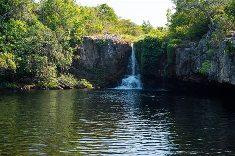 Premium Photo | A beautiful view of nature in Chapada dos Veadeiros ...