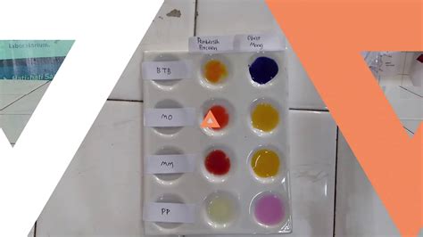 Laporan Praktikum Kimia Uji Larutan Asam Basa Menggun