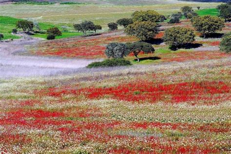 12 pequenos paraísos para visitar no Alentejo VortexMag Alentejo