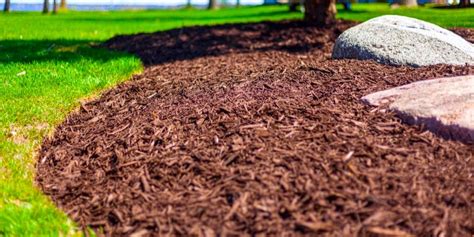 Professional Mulch Installation In Canonsburg And Surrounding Areas Save