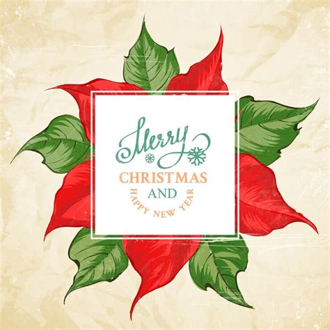 Carte De Joyeux Noël Avec Motif De Fleurs De Poinsettia Vecteur Gratuite