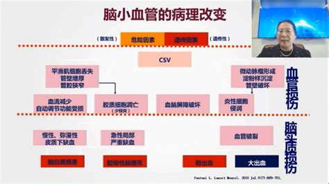 脑小血管病的诊断和治疗！讲的很完整临床