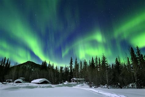 Alaska Winter Forest Wallpapers - Wallpaper Cave