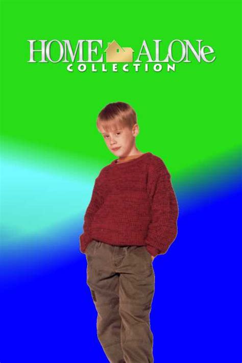 Home Alone Collection Santyzuji The Poster Database Tpdb