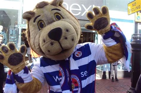 Reading FC mascot Kingsley Royal's name smeared by copycat - Get Reading