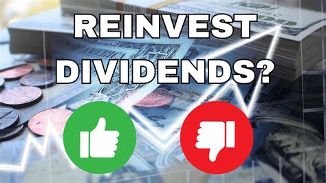 Should You Reinvest Your Dividends Youtube