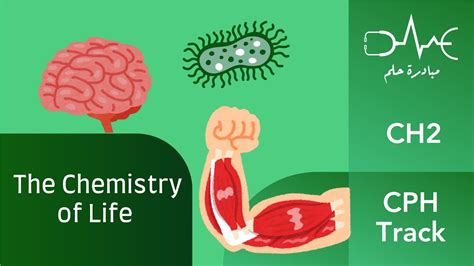 Cph Ch2 The Chemistry Of Life Youtube