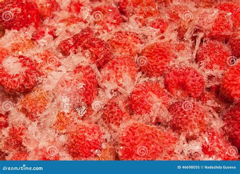 Frozen Strawberries In A Container In Hand Pattern Stock Image