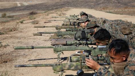 Watch The First 2 Weeks Of U S Marine Corps Scout Sniper Training Sofrep