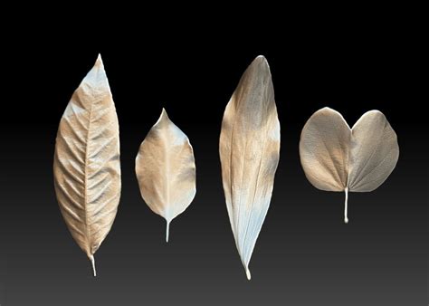 3d Printed Leaf Stl 3d Printed Leaf Stl 3d Model 3d Printable Cgtrader