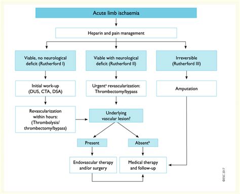 Management Of Acute Limb Ischaemia Cta Computed Tomography Download Scientific Diagram