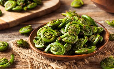 Fiddlehead Ferns: Recipes & How to Cook | D'Artagnan