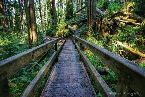 Arcata Community Park in Humboldt County
