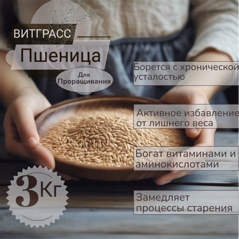 Пшеница для проращивания, витграсс, ростки пшеницы, микрозелень, 3 кг ...