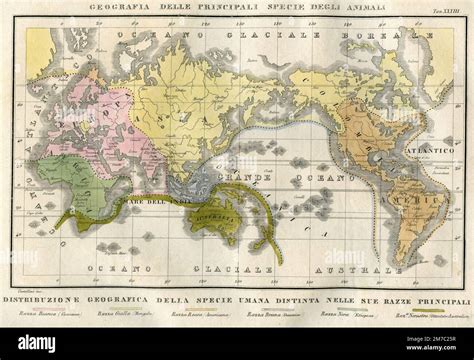 Karte Der Geografischen Verteilung Der Menschlichen Arten Unterteilt