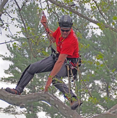 2017 CT Tree Climbing Competition - Results - CTPA (Connecticut Tree ...