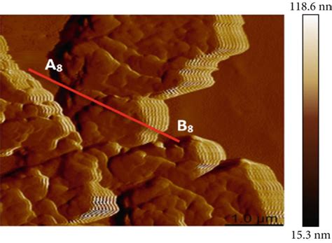 Afm Height Mapping Images And Corresponding Typical Elastic Modulus