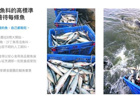 【產銷履歷龍膽石斑 輪切魚片600g包】屏東佳冬專業生態養殖 最安心的石斑魚海鮮 Owlting Market 奧丁丁市集