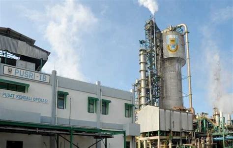 pusri gandeng perusahaan perkebunan buat lahan percontohan seruji